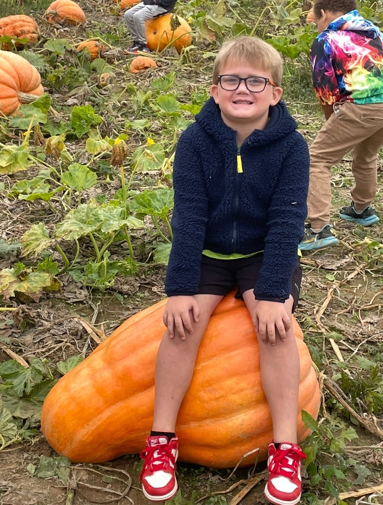 pumpkin investigation