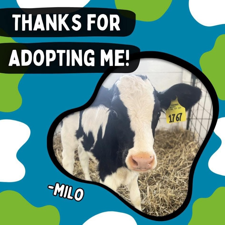 thanks for adopting Milo