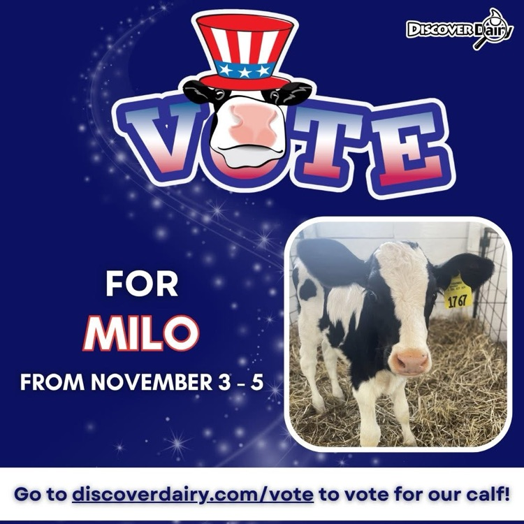 vote for Milo