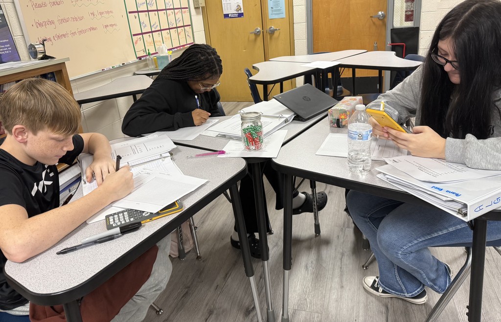 Who says algebra has to be no fun!?? We’ve been learning about different kinds of functions and today we learned about Absolutely Value Functions. Student had to guess the number of die (isn’t that the plural of dice), find the absolute guessing error and then graph the function.  Remarkably, no one asked if they could have the dice to shoot them later. 😂