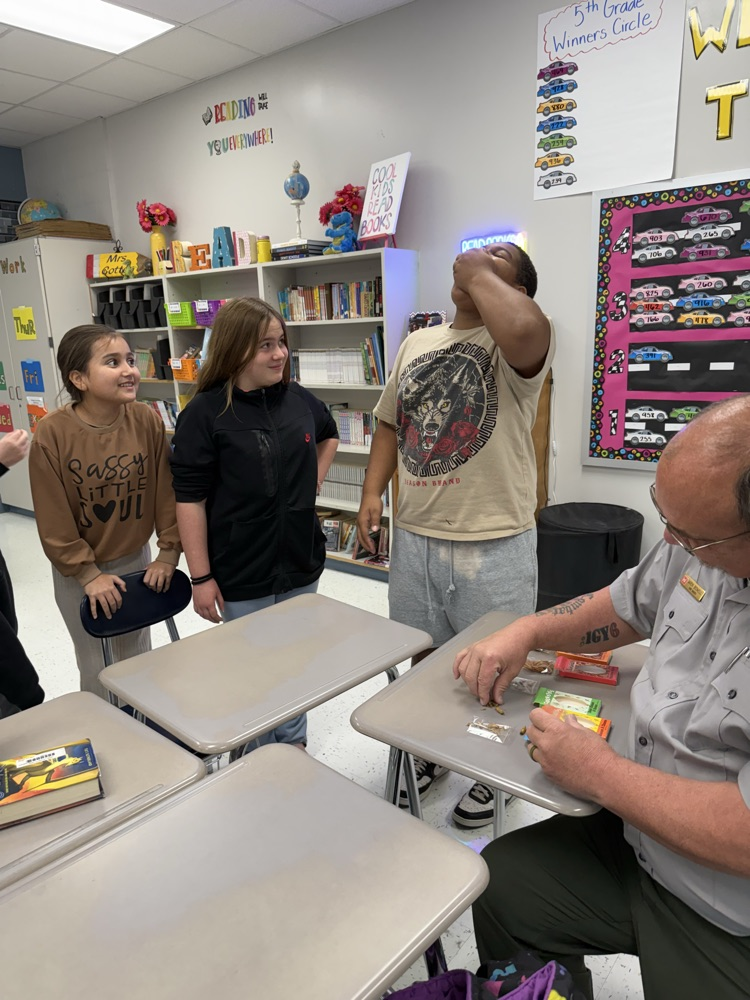 students eating mealworms and crickets