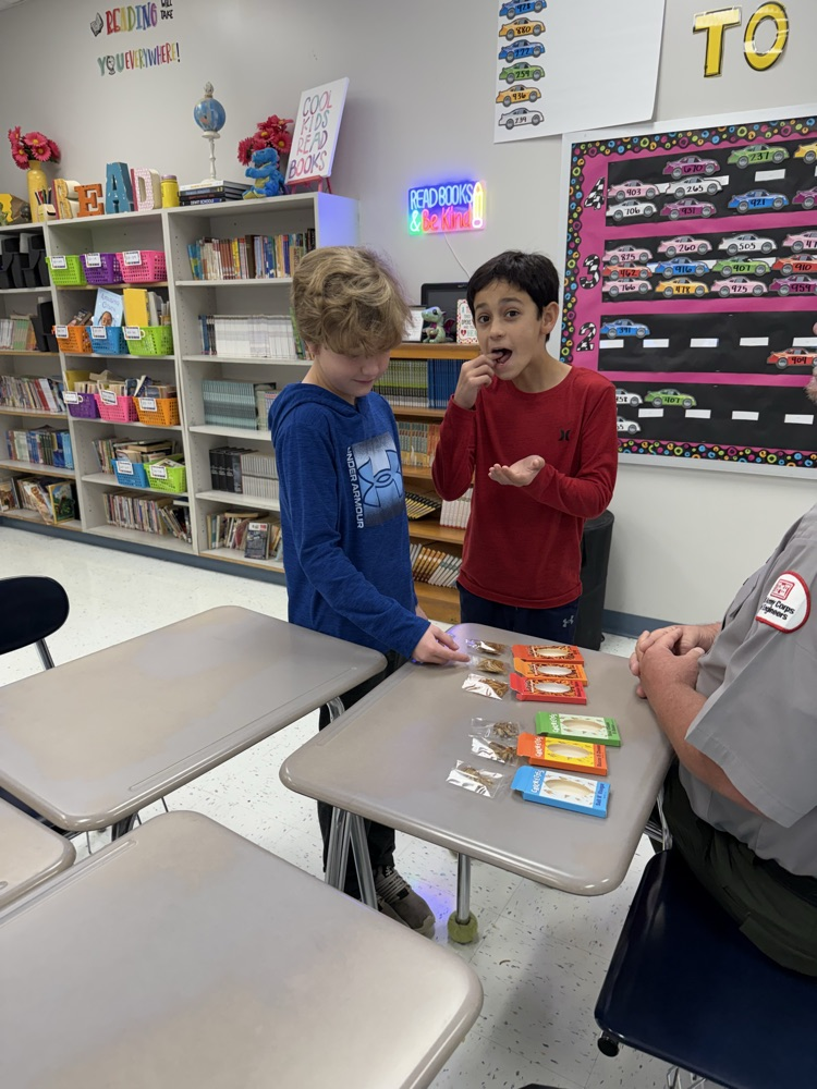 students eating mealworms and crickets