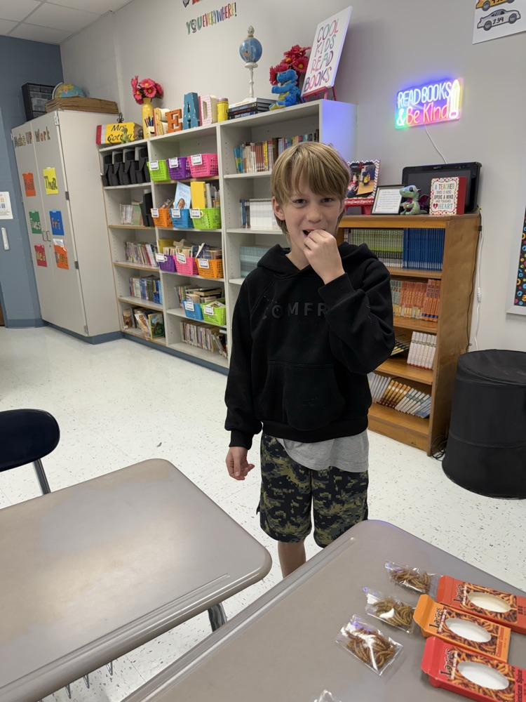 students eating mealworms and crickets