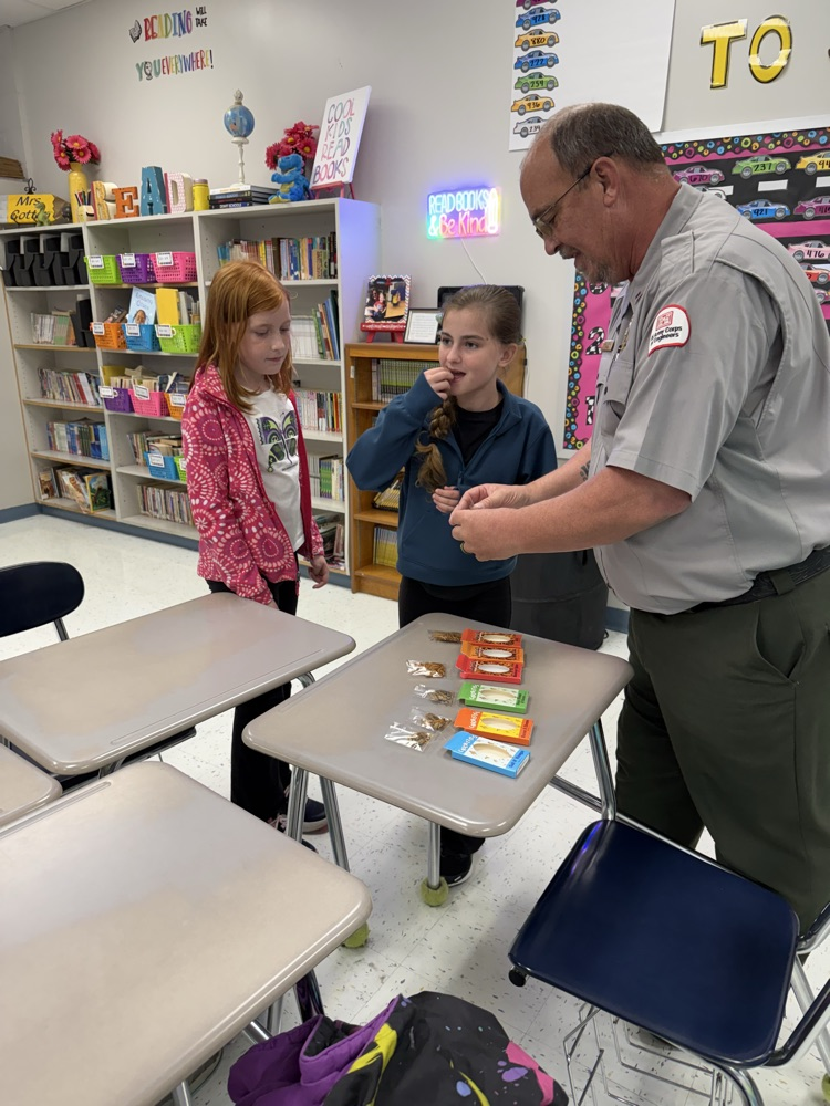 students eating mealworms and crickets