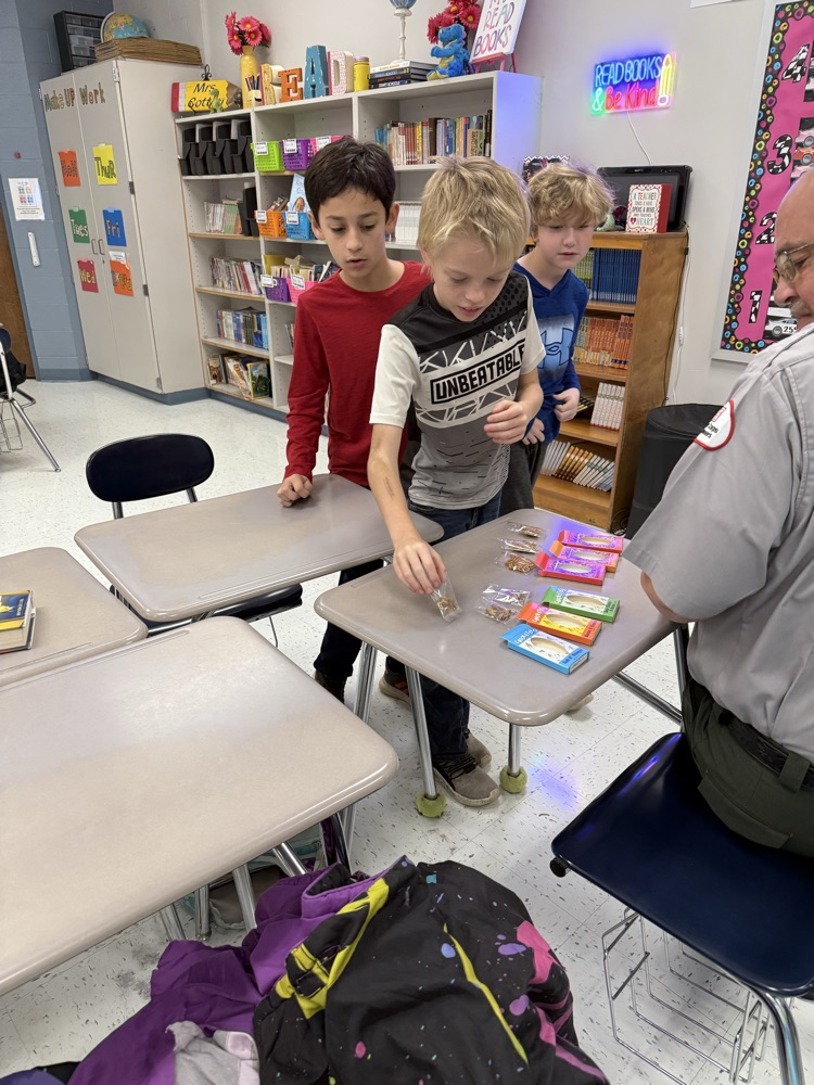 students eating mealworms and crickets