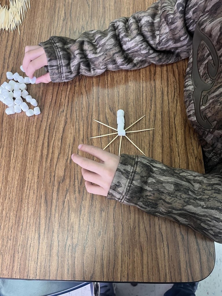 Students creating marshmallow and toothpick snowflakes