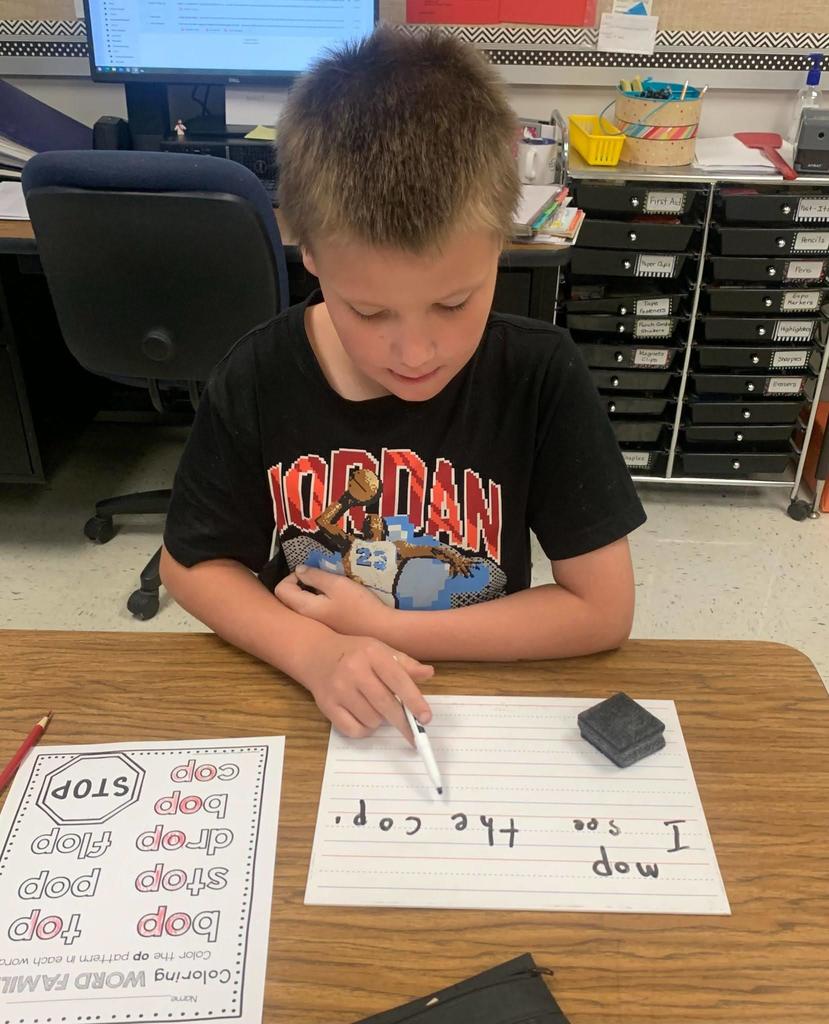 students working with occupational therapist