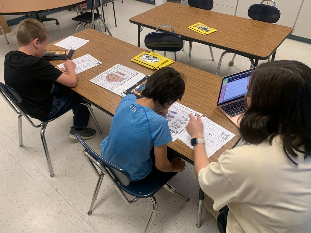 students working with occupational therapist