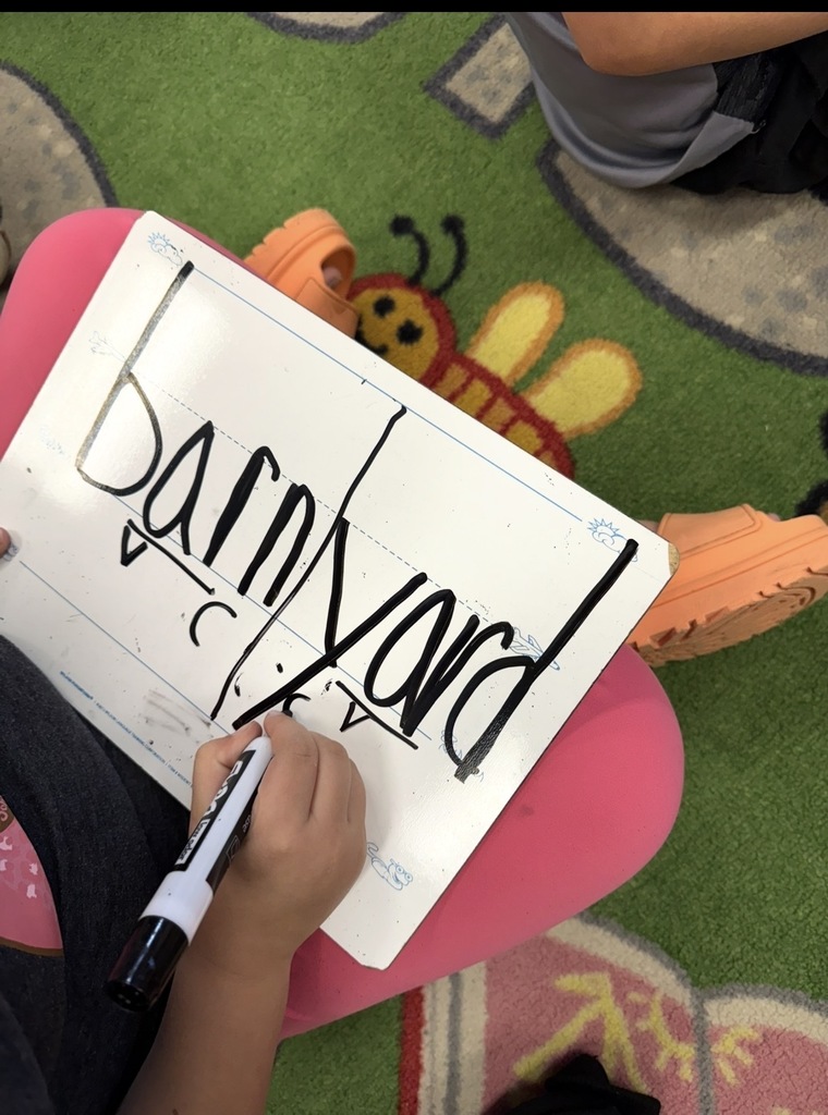 students being word detectives and dividing them into syllables