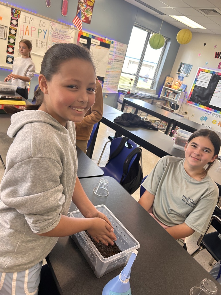 5th Grade Scientists creating terrariums 
