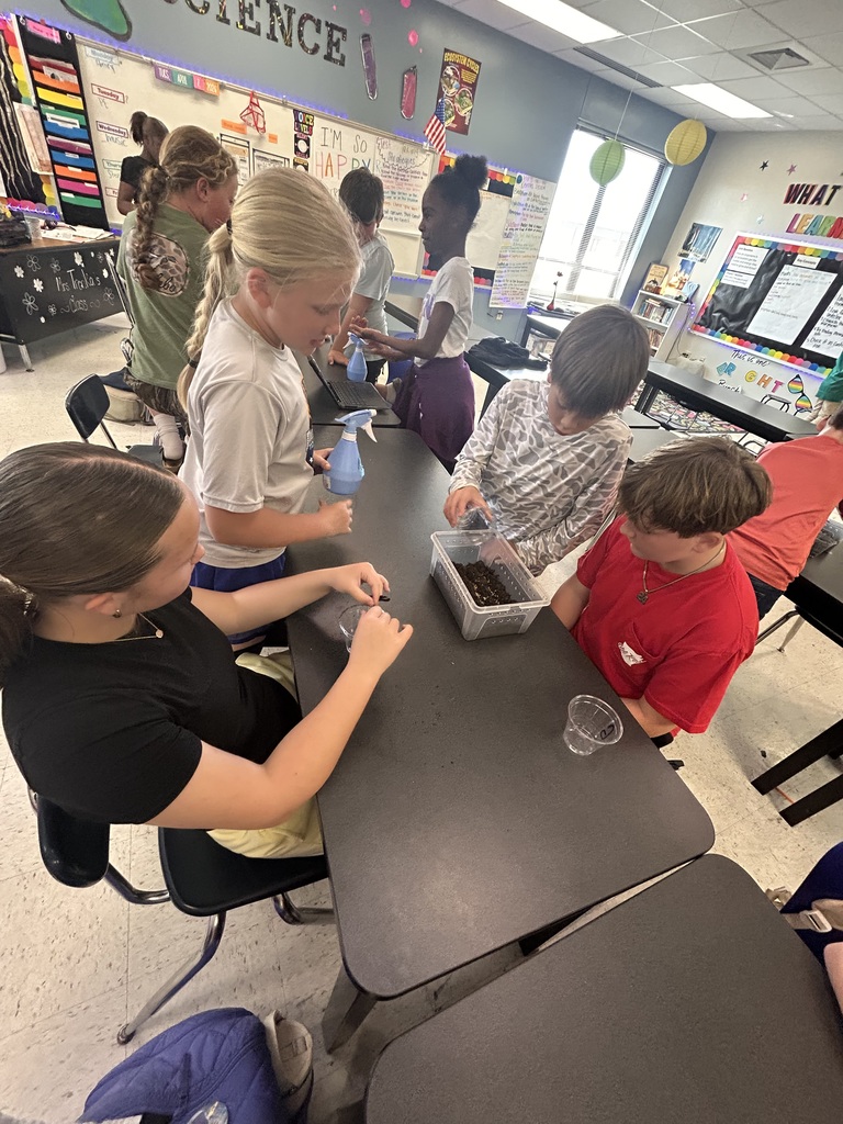 5th Grade Scientists creating terrariums 