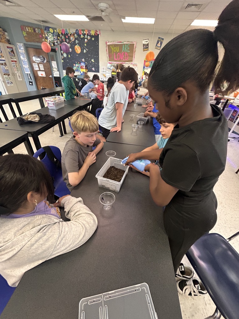 5th Grade Scientists creating terrariums 