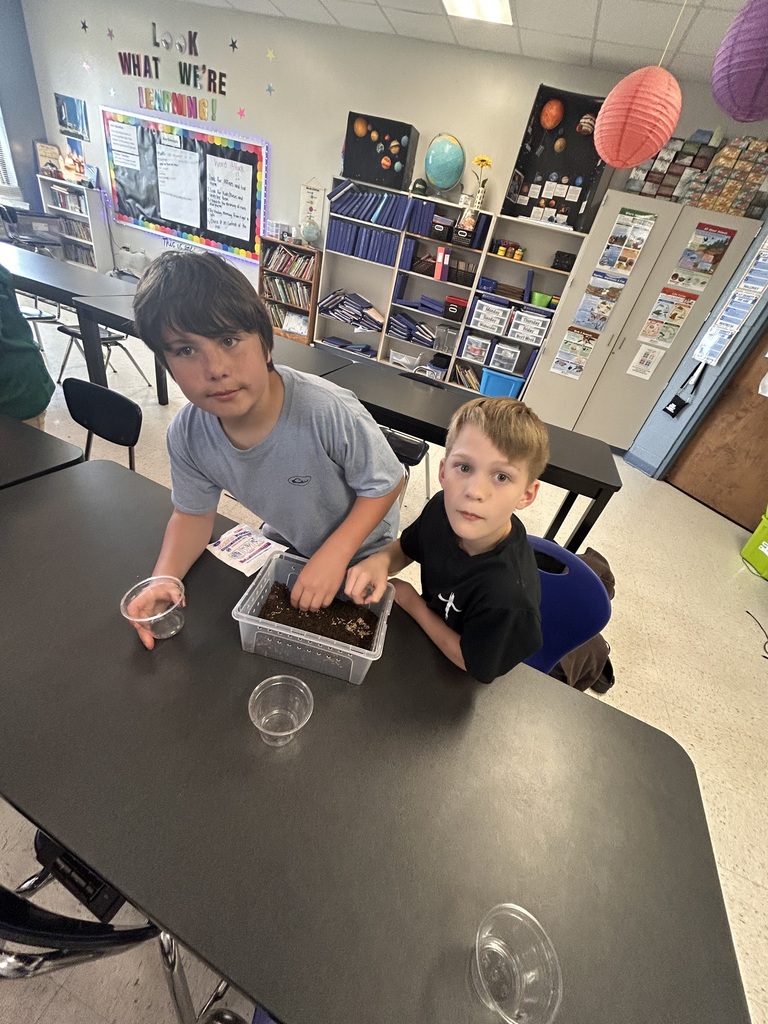 5th Grade Scientists creating terrariums 