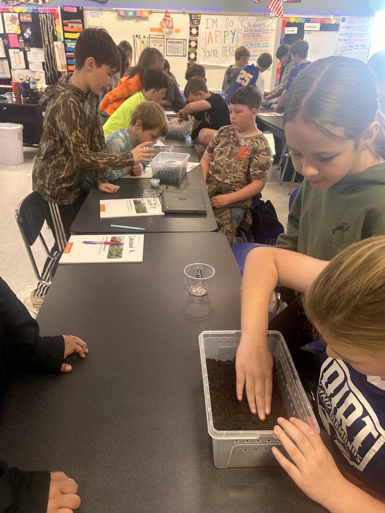 5th Grade Scientists creating terrariums 