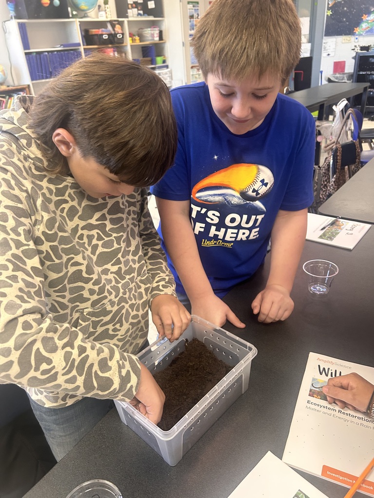 5th Grade Scientists creating terrariums 