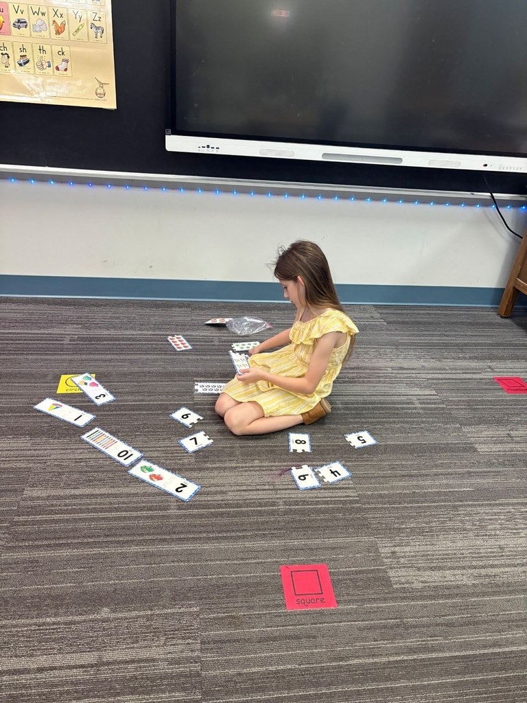 student sortig cards all arouj