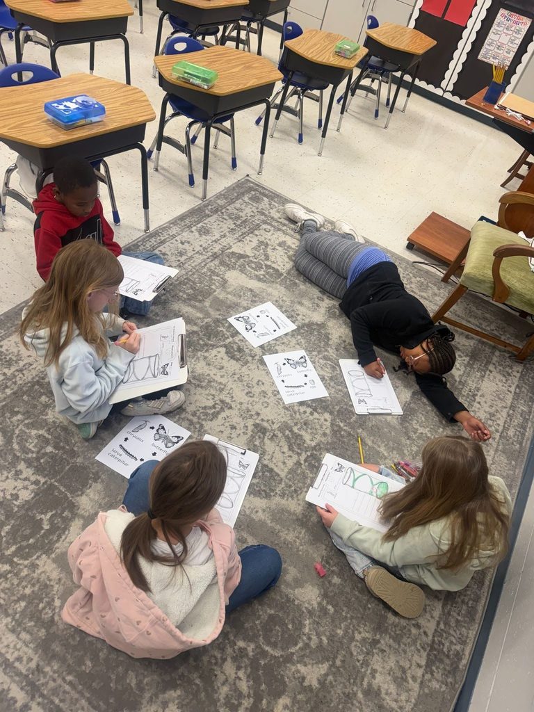 students monitoring butters and filling out butterfly lifecycle observation sheet