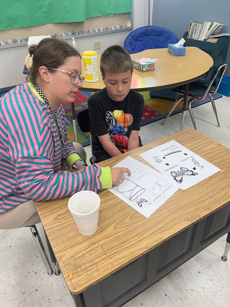 students monitoring butters and filling out butterfly lifecycle observation sheet