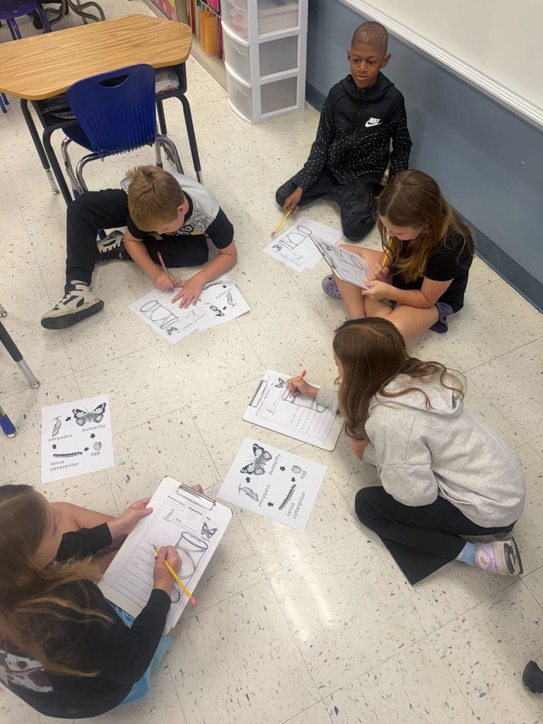 students monitoring butters and filling out butterfly lifecycle observation sheet