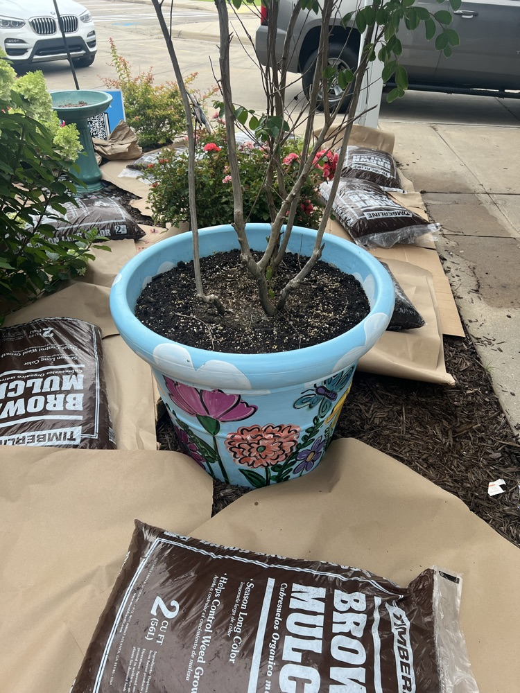 flower bed prep