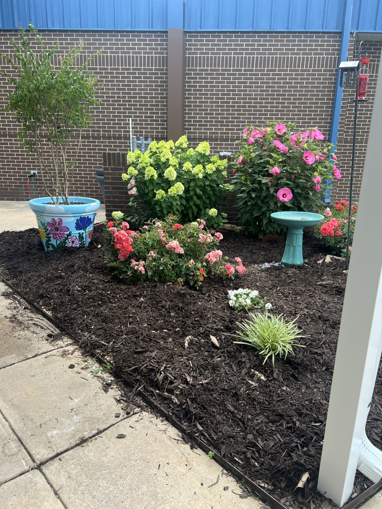 completely mulched flower bed