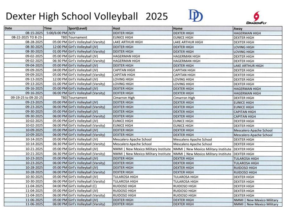 volleyball VJV