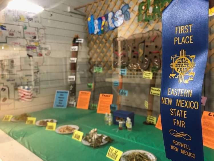 8th grade Ag Explore Fair Booth 