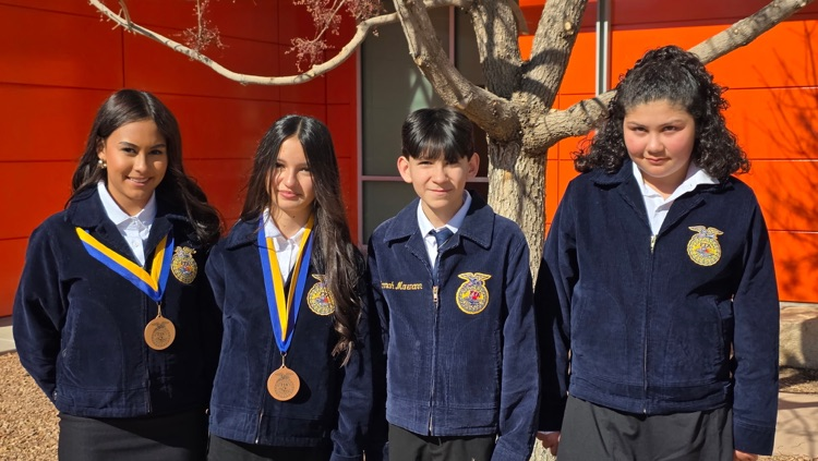 MS Illustrative Talk 