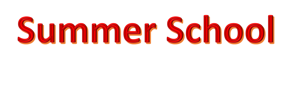 Summer School