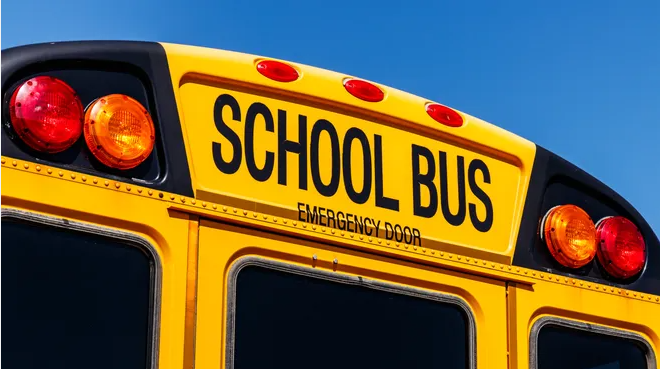 bus