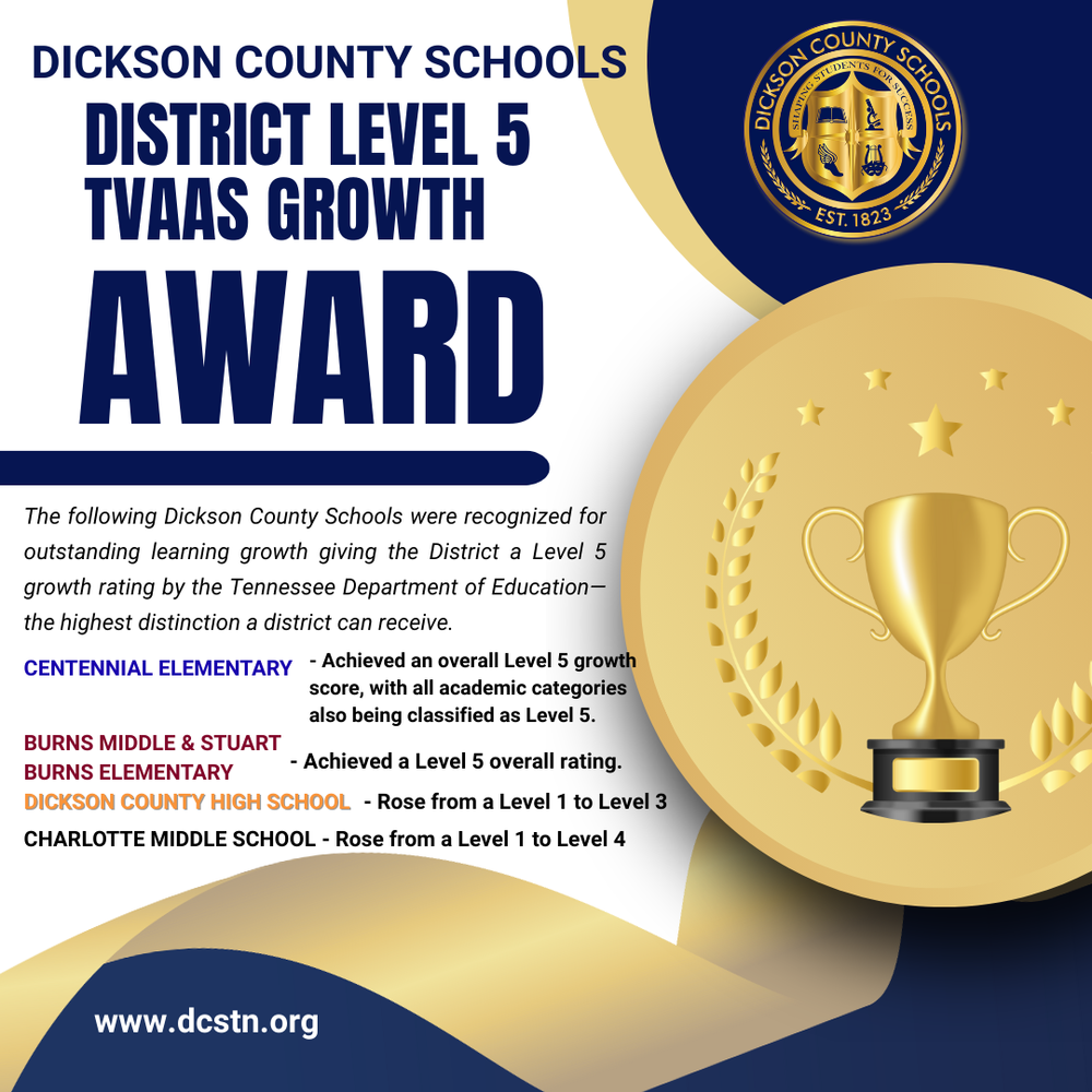 District Level 5 Award