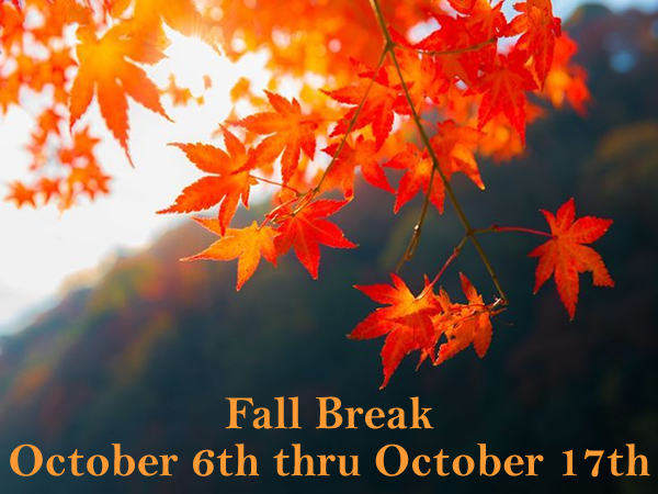 fall
