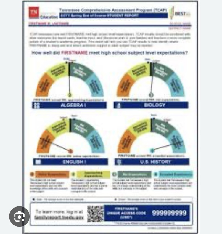 TCAP family report