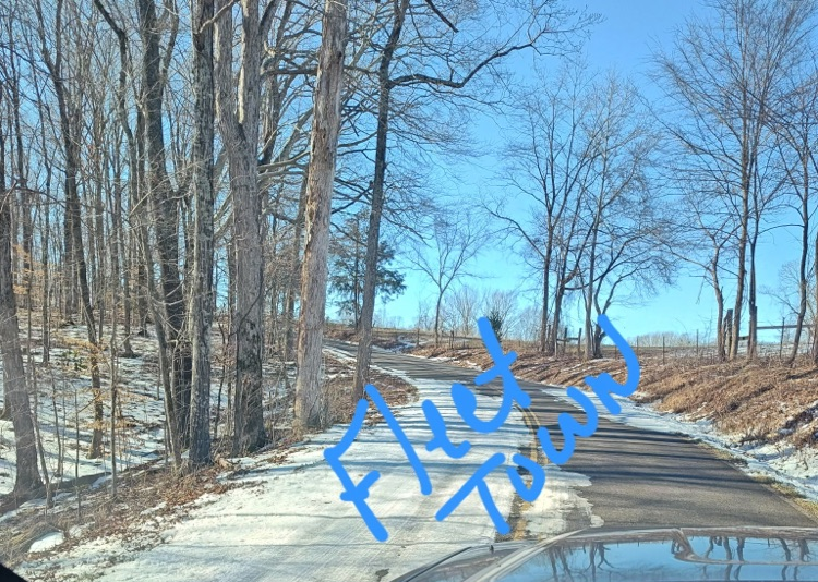 Icy Roads, Dickson County