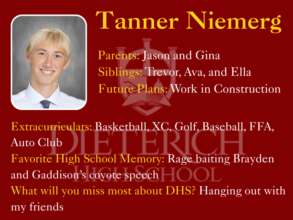 niemerg tanner