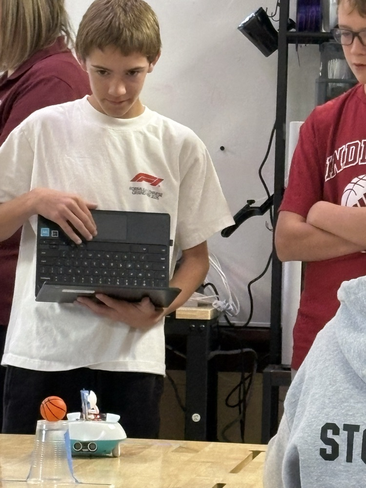 stem