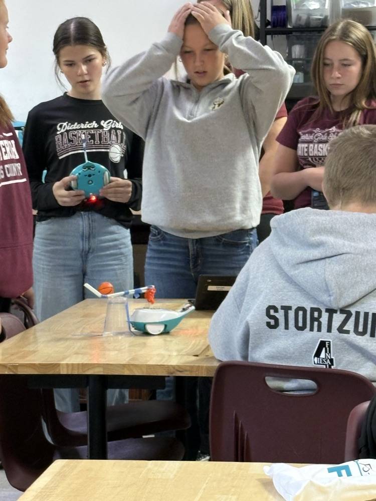 stem