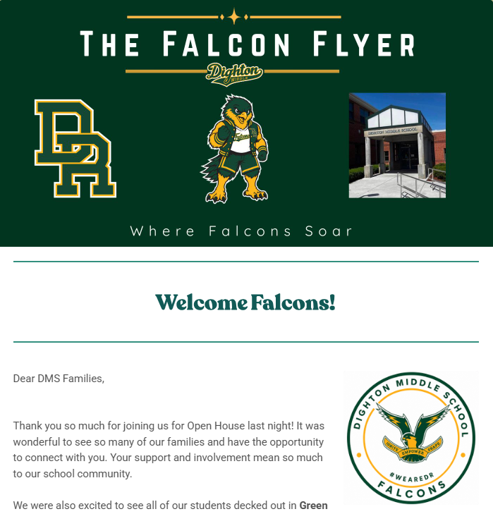 Falcon Flyer
