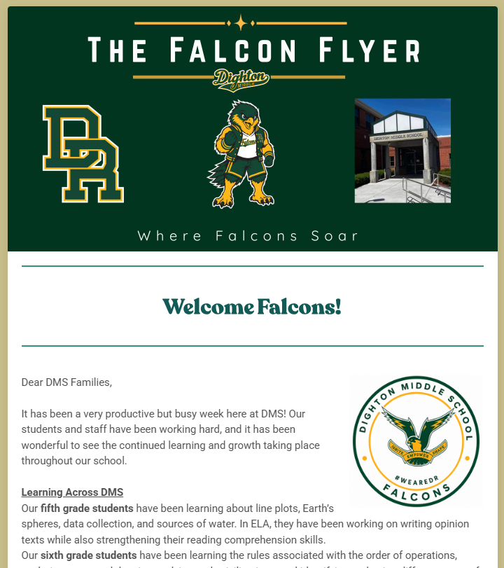 Falcon Flyer