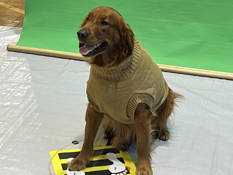 Picture Day
