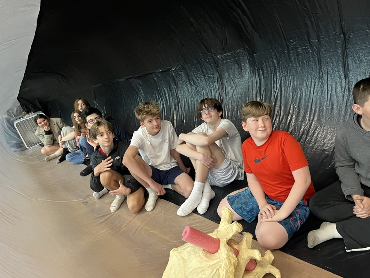 Blue whale