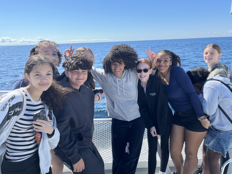 Whale Watch