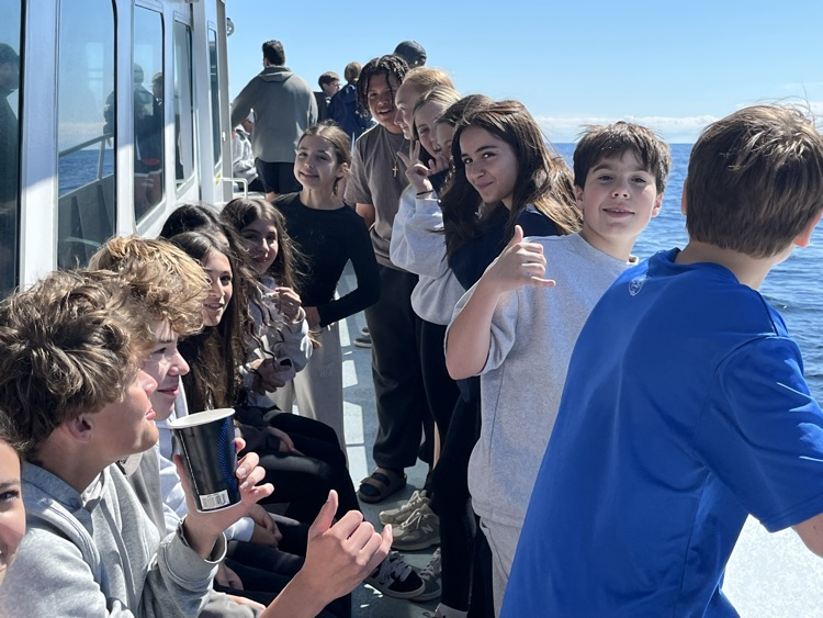 Whale Watch