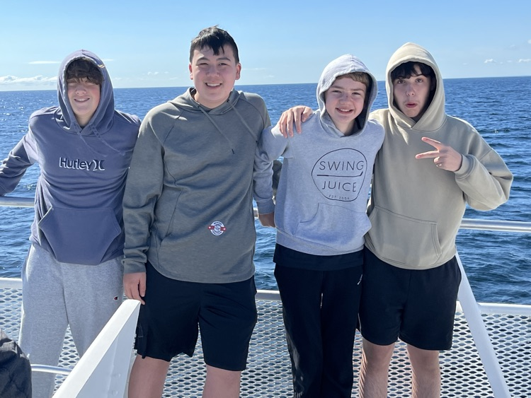 Whale Watch