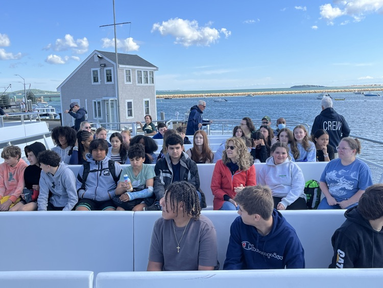 Whale Watch