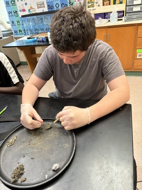 owl lab