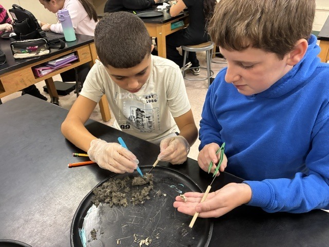 owl lab 2