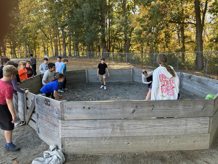 grade 5 bash