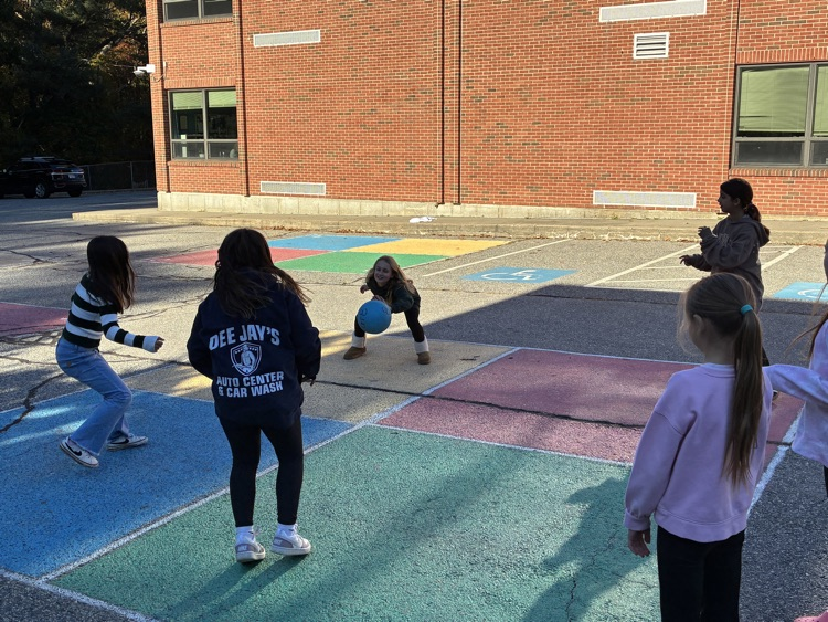 grade 5 bash