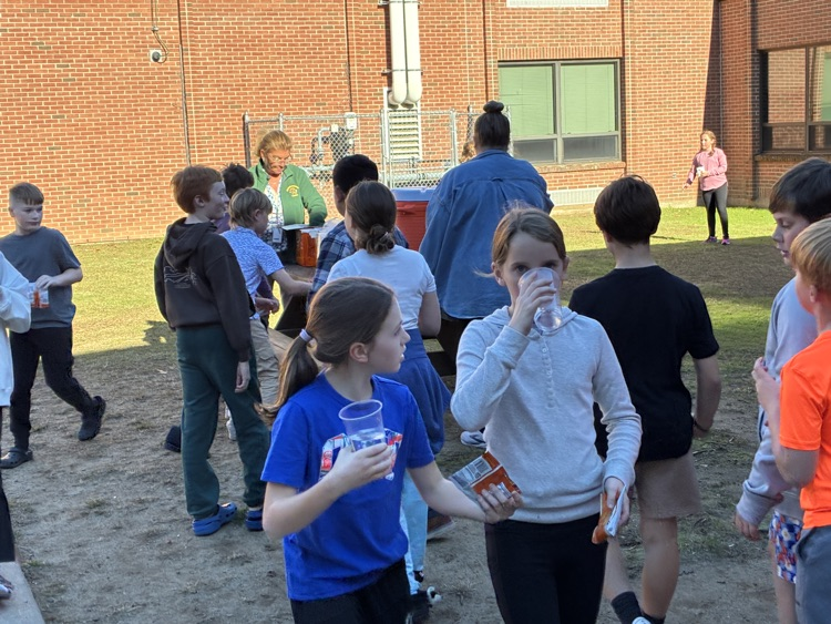 grade 5 bash